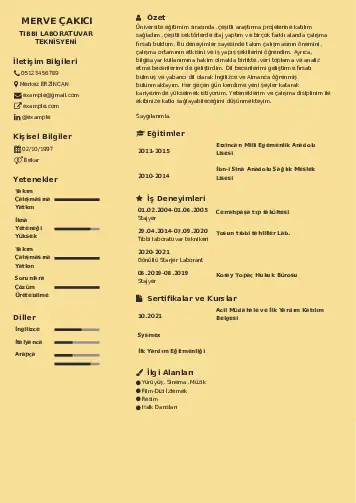 Laboratuvar Teknisyeni Cv Örnekleri cv indir